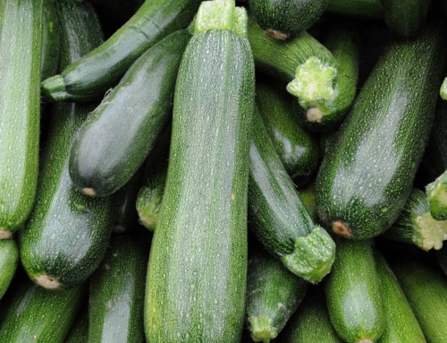 Zucchine Scure